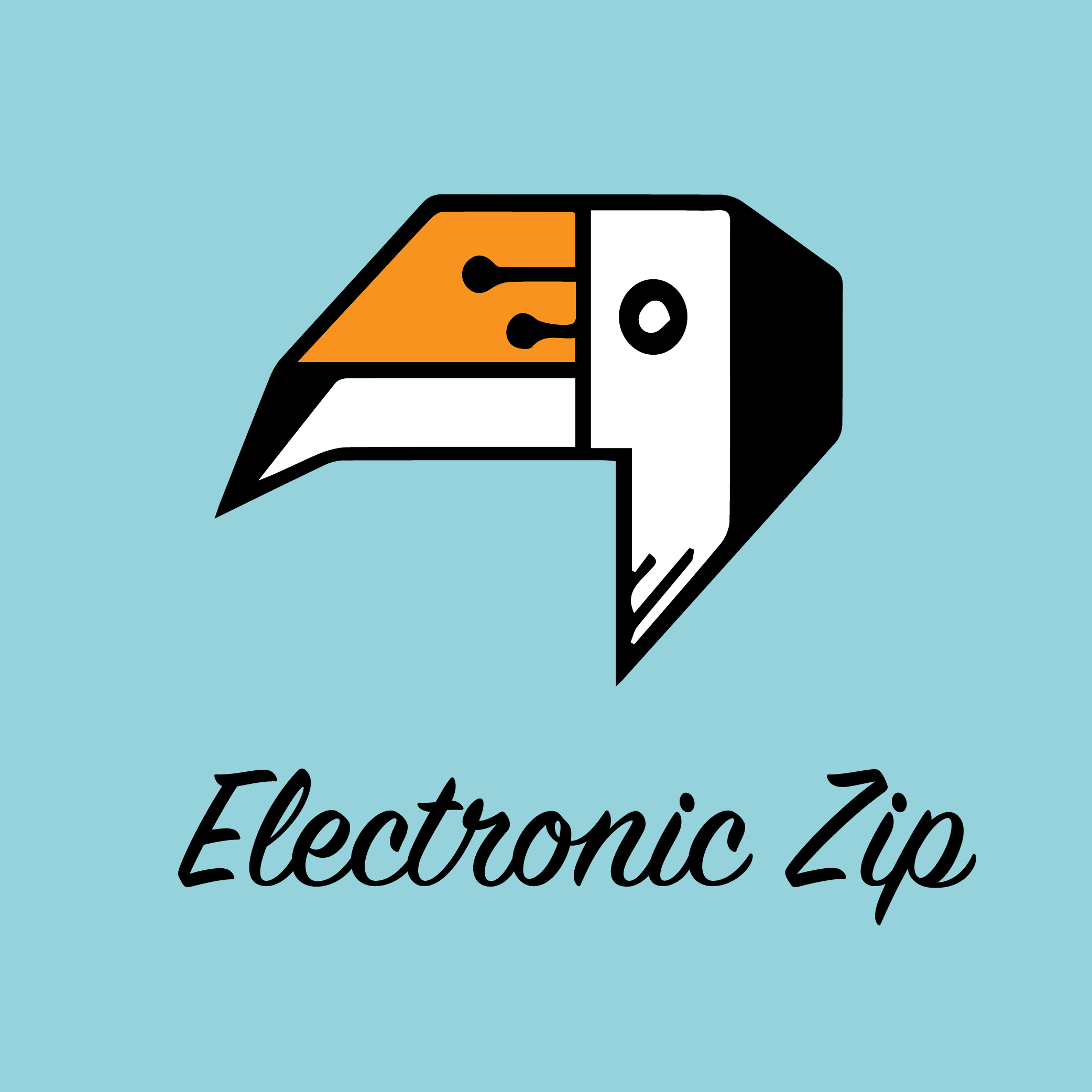 Electronic Zip